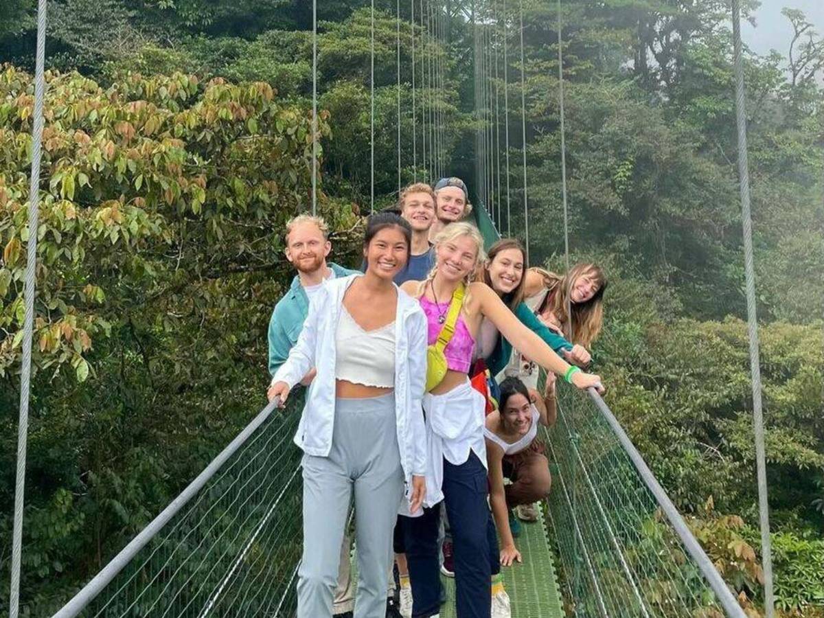 Bridge Adventure!