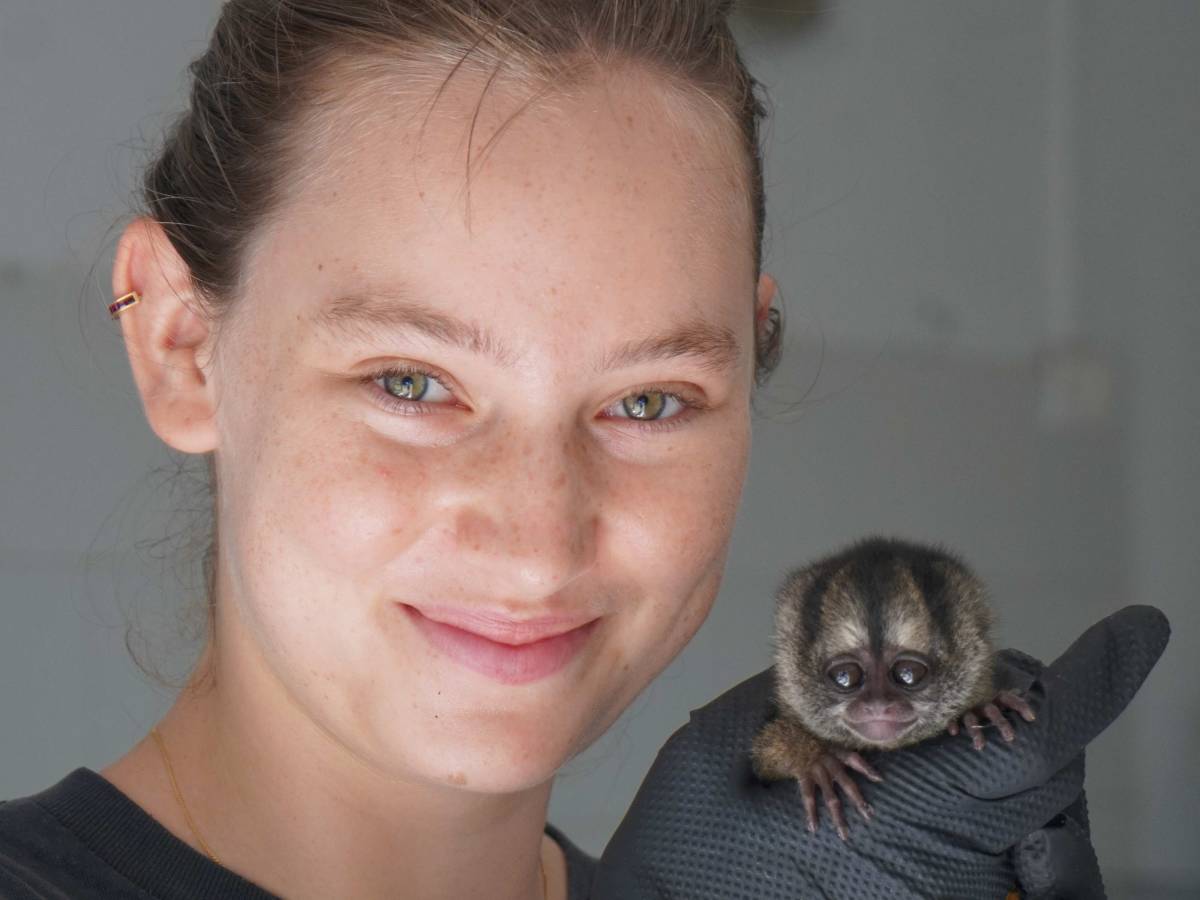 Bucaramanga Animal Rescue Volunteer Program