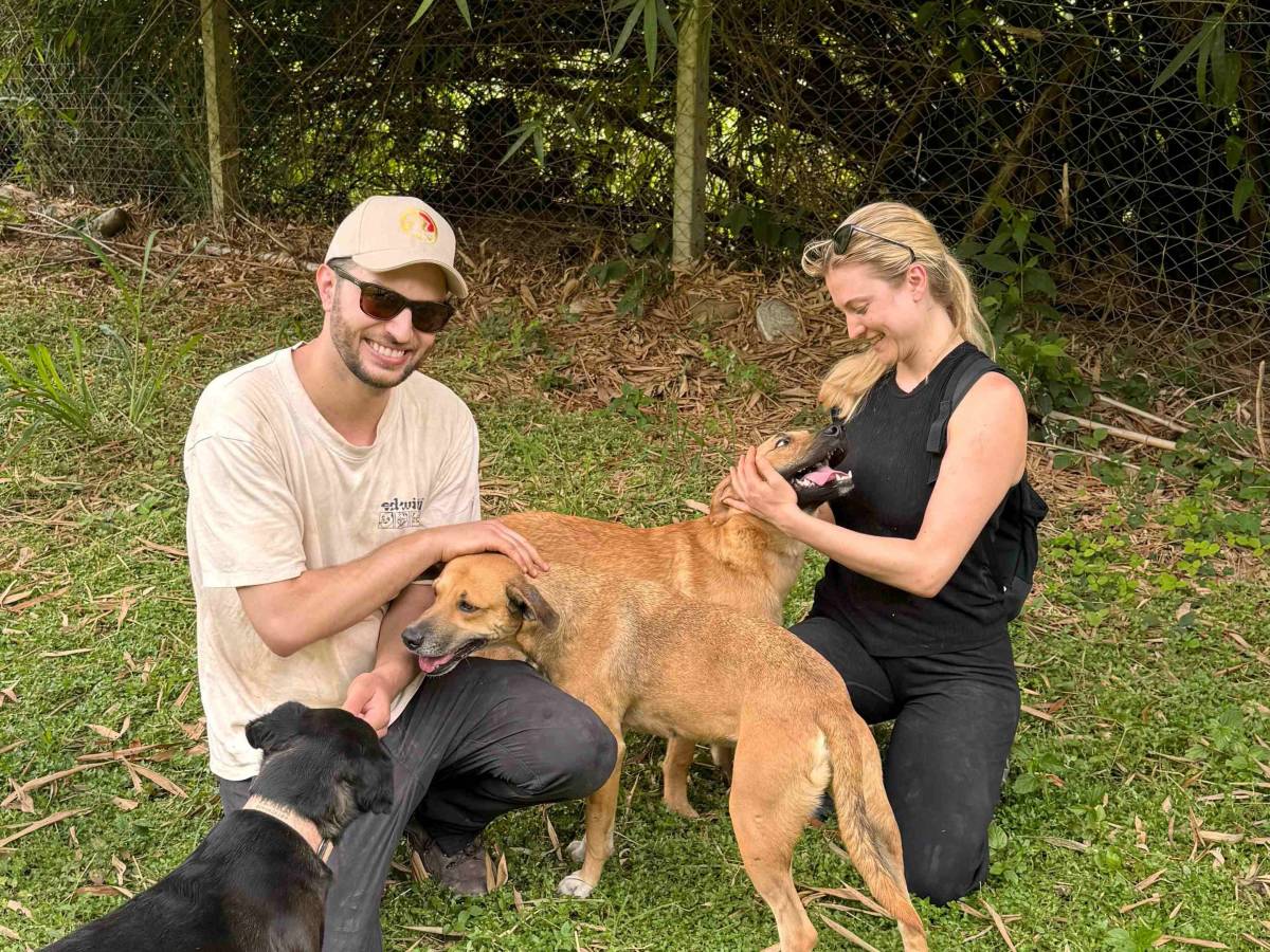 Bucaramanga Animal Rescue Volunteer Program