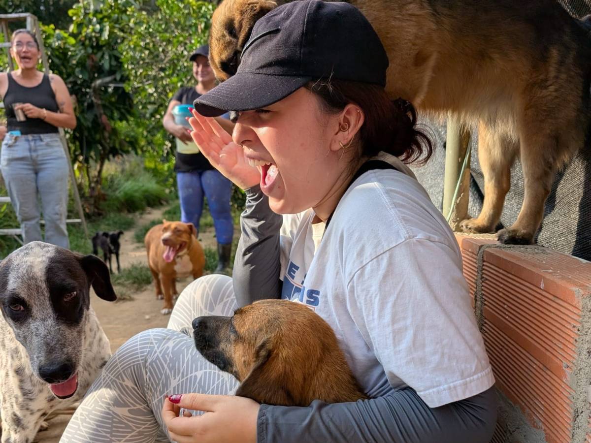 Bucaramanga Animal Rescue Volunteer Program