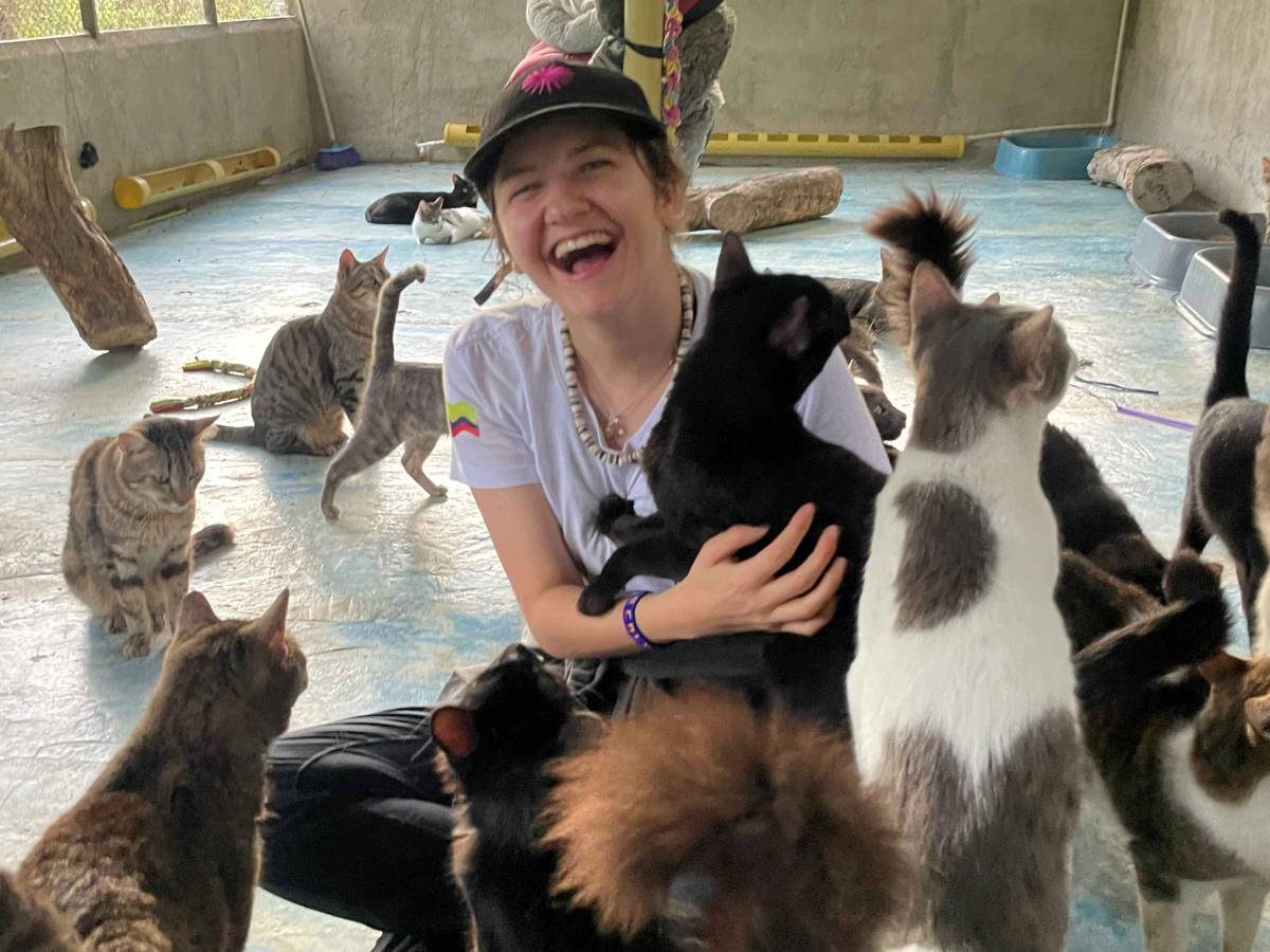 Bucaramanga Animal Rescue Volunteer Program