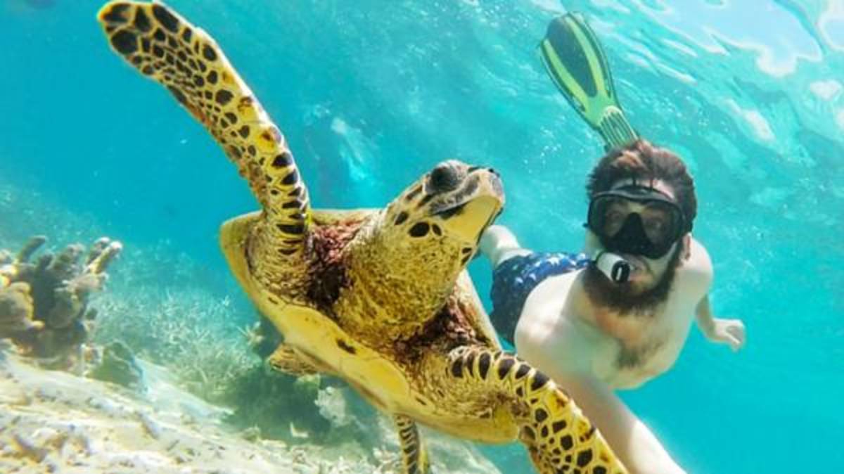 a man swimming with a turtle