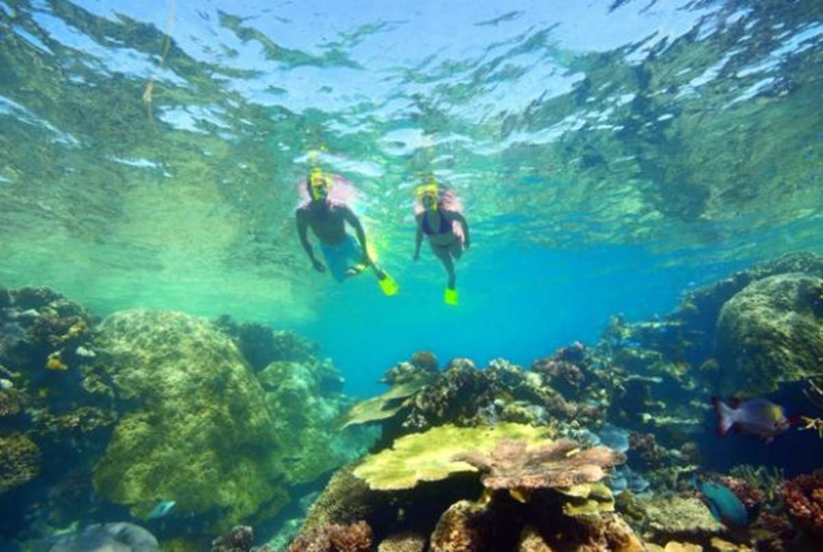 Fiji - Diving and Marine Conservation Expedition — photo 1