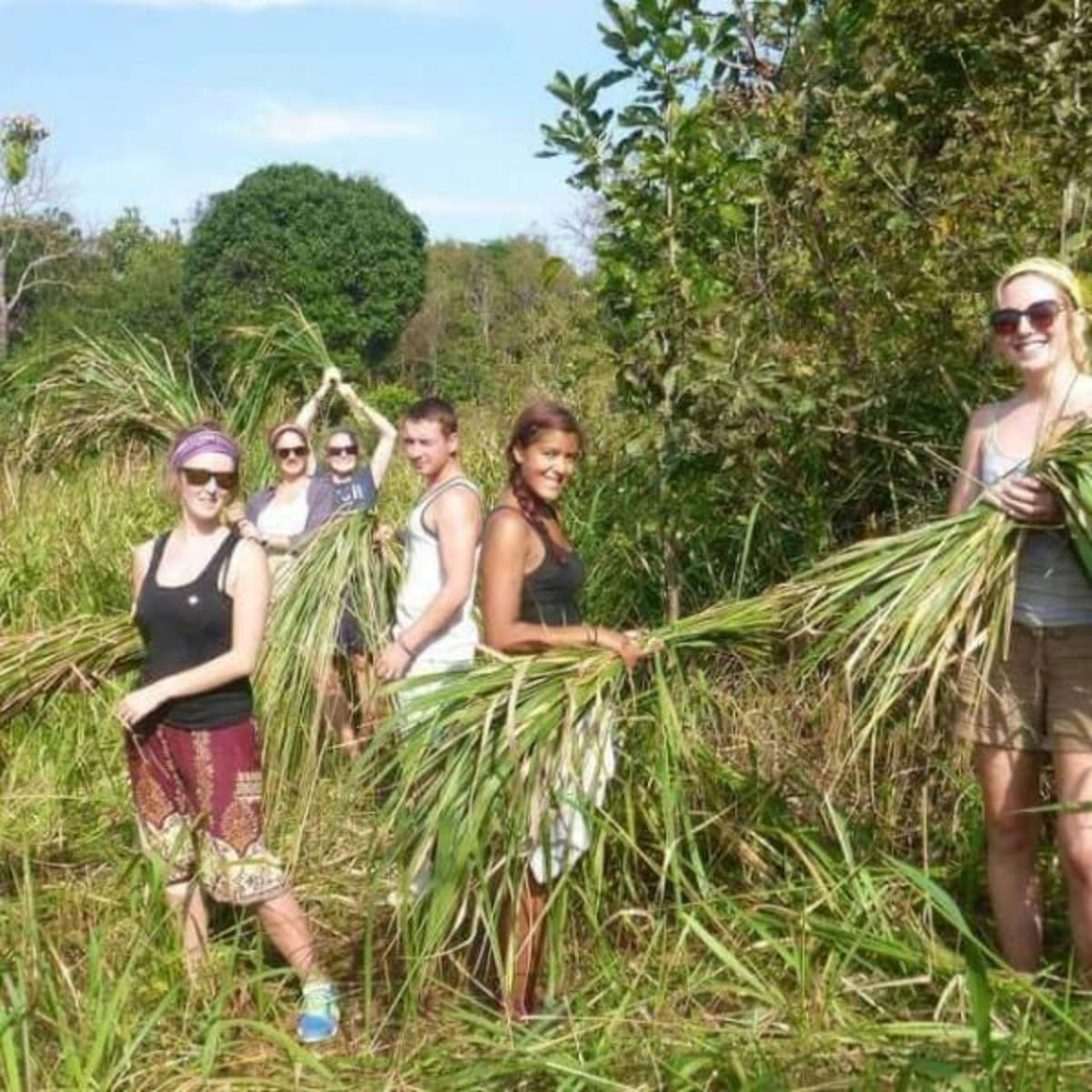 GoEco Cambodia - Elephant Sanctuary & Forest Conservation