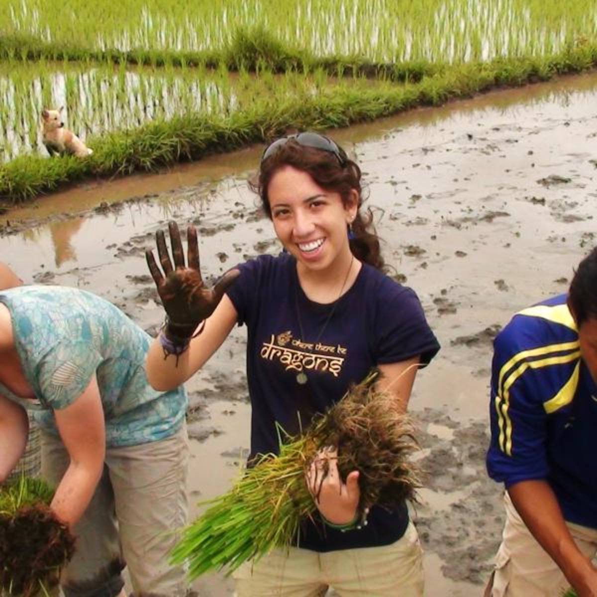 Cambodia, Summer, Development