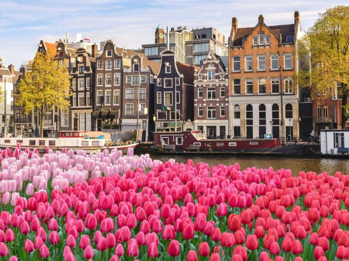 Canal in Amsterdam