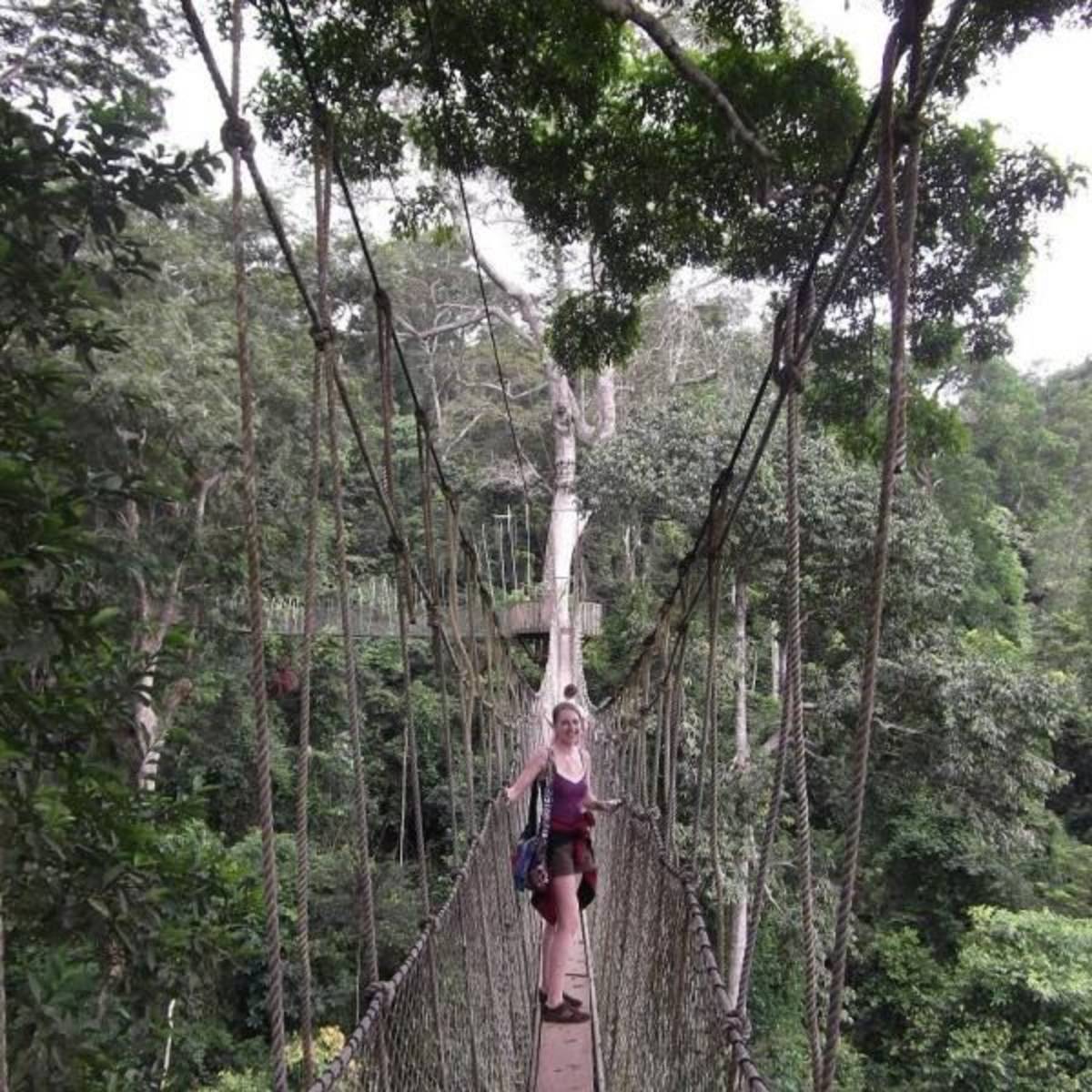Volunteer in Nature Conservation
