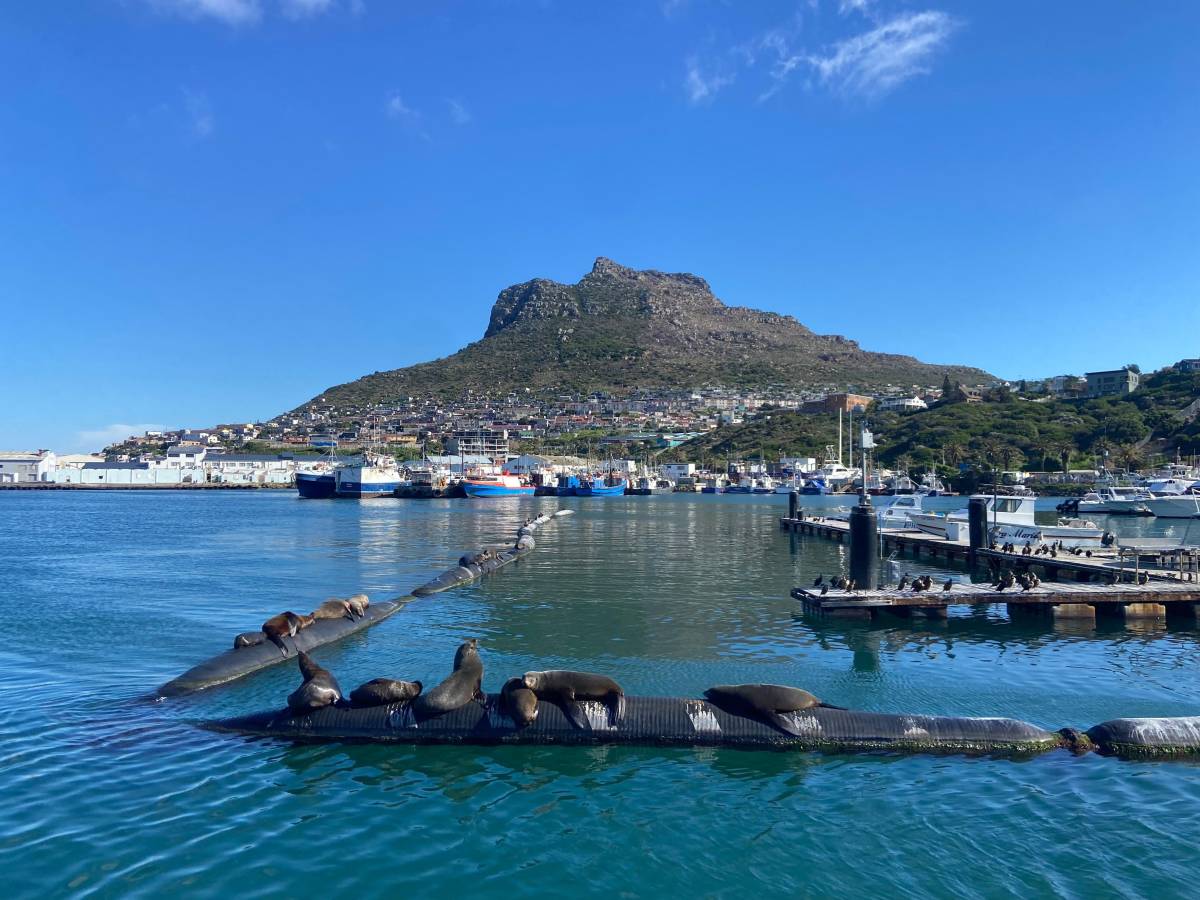 Cape Town