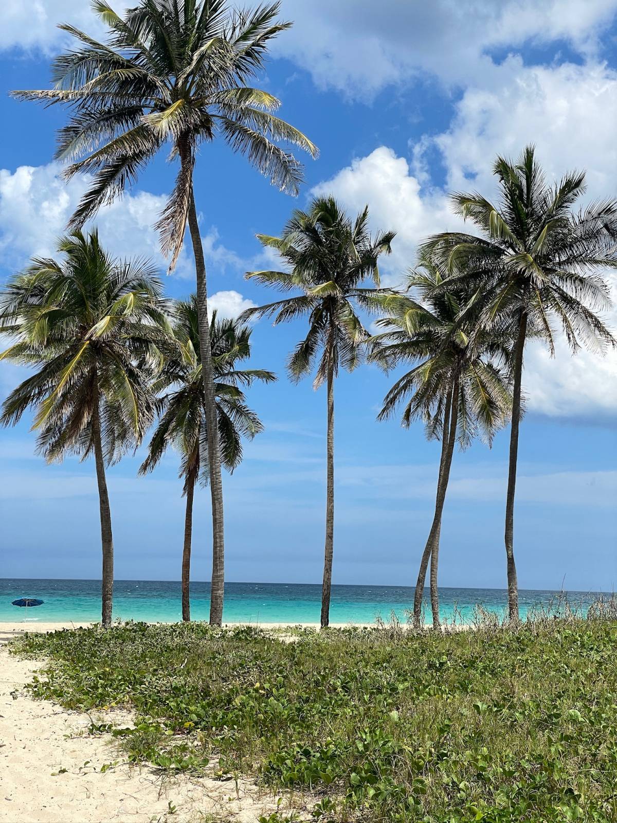 Caribbean beaches