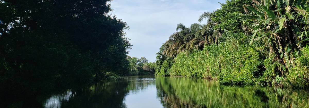 Caribbean coast near Tortuguero