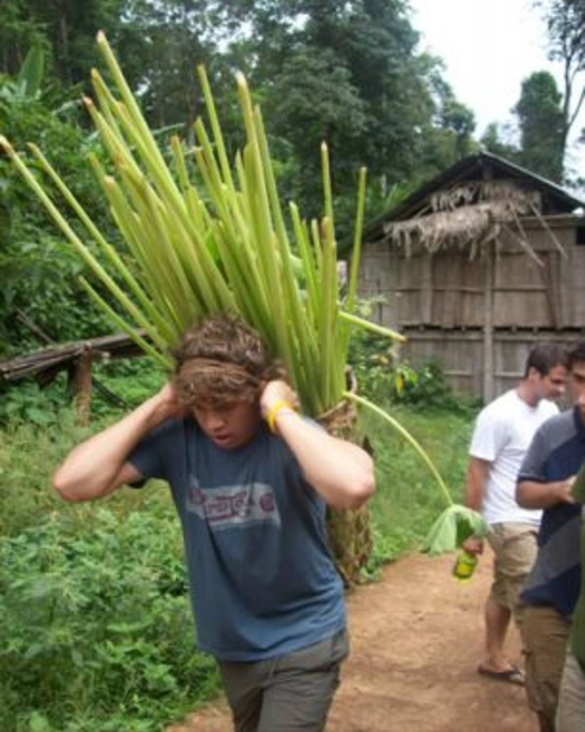 Thailand: Practicing Sustainability & Service (Summer) — photo 4