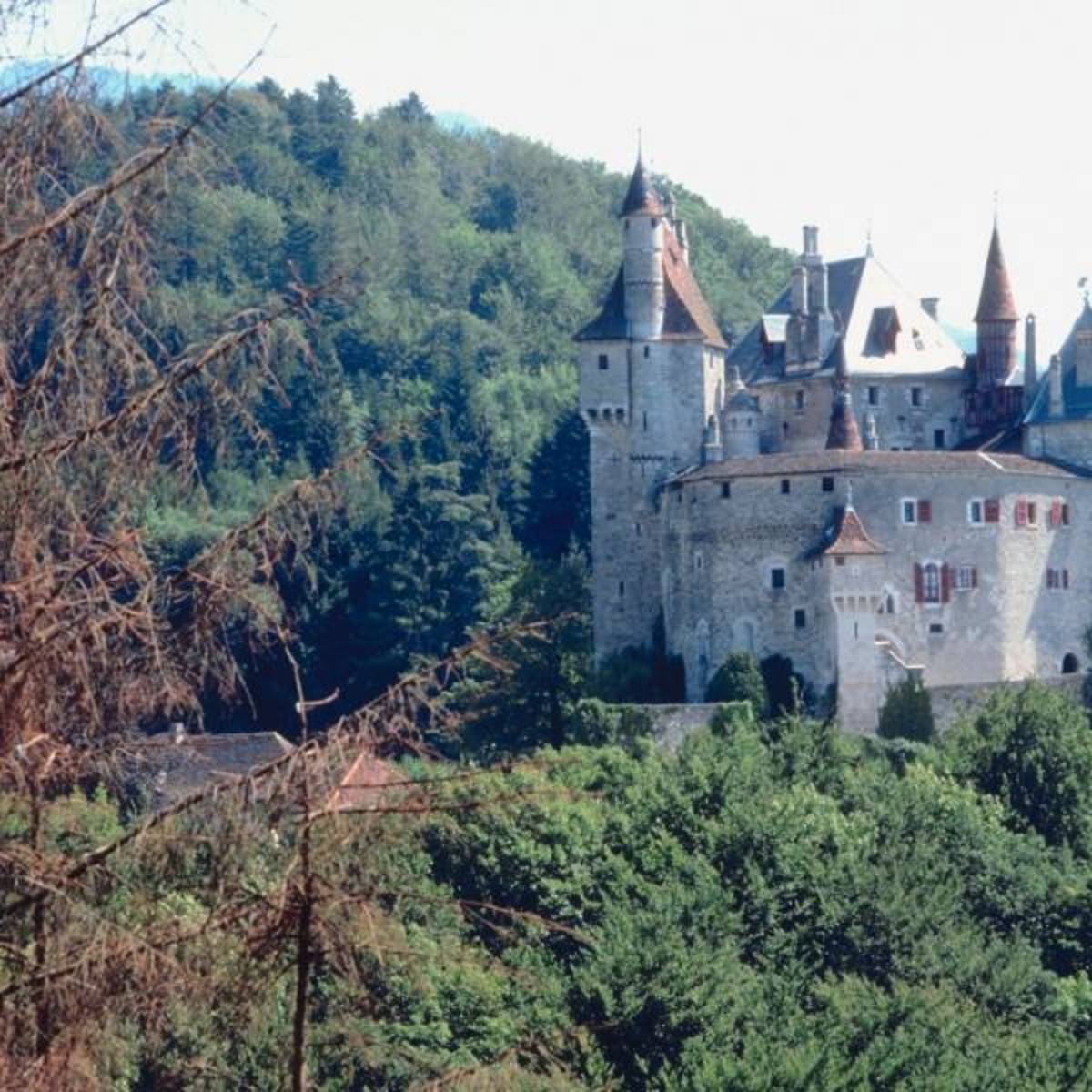 High School Abroad in France with Greenheart Travel — photo 2