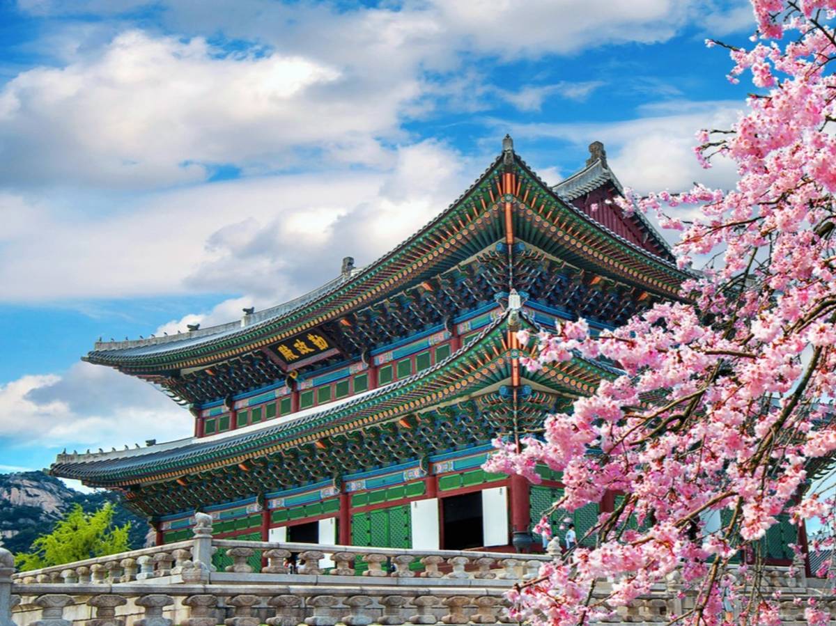 Cherry blossoms in spring, Seoul in Korea.