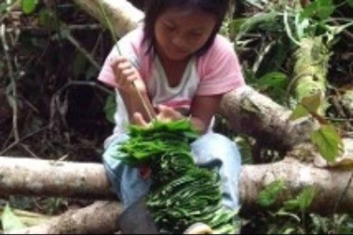 Child collecting leaves