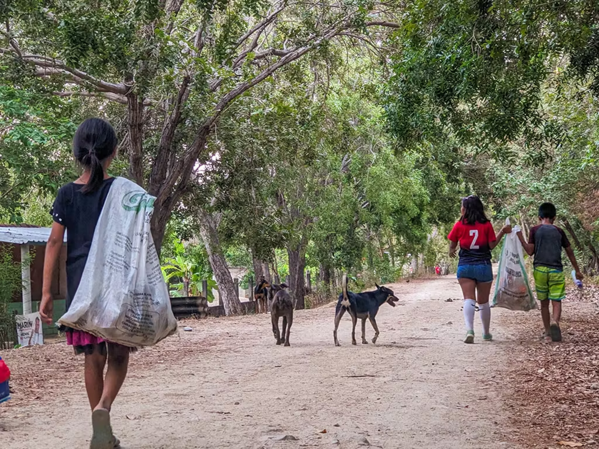Children Walking down a Dirt Road with Dogs