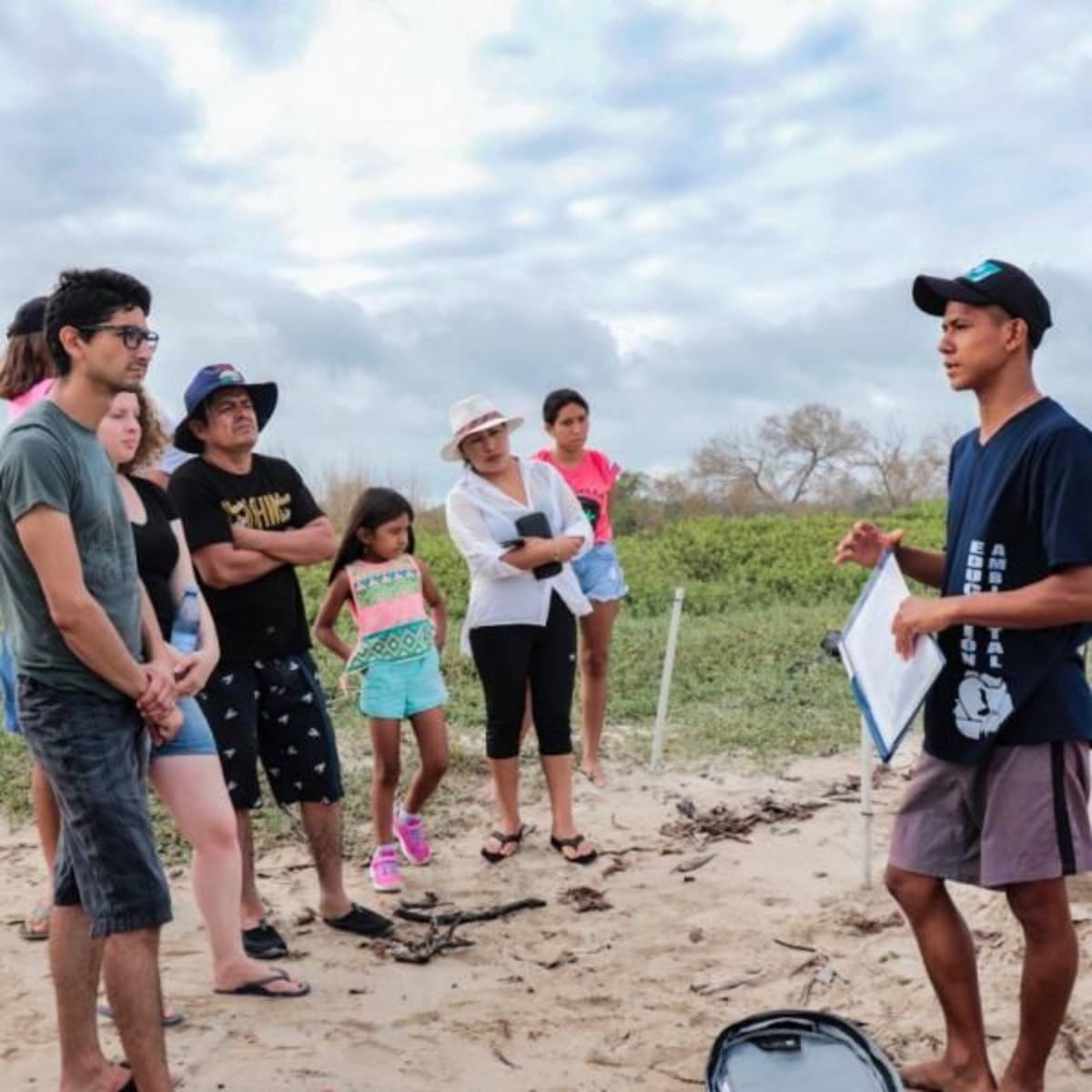 sea turtle nest monitoring