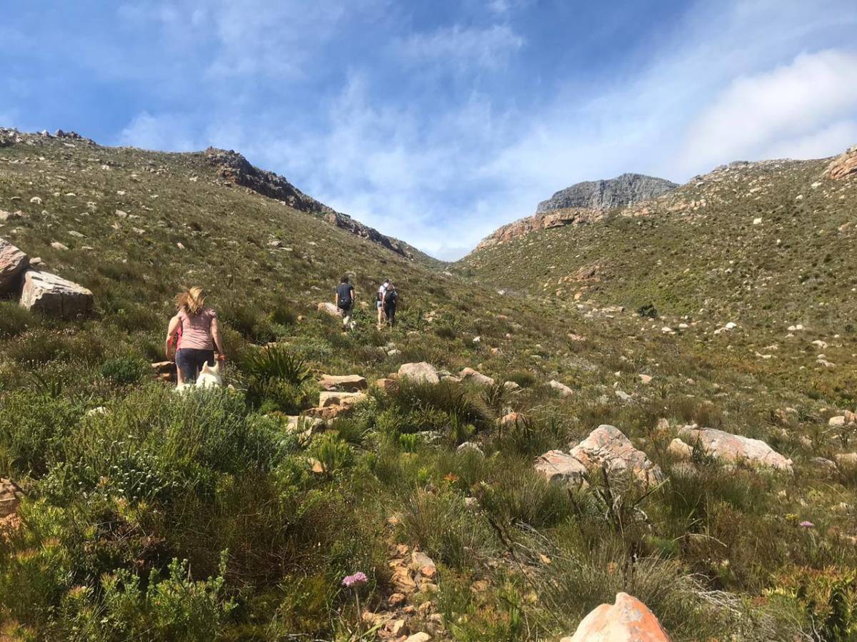 Clean Energy Internship in South Africa