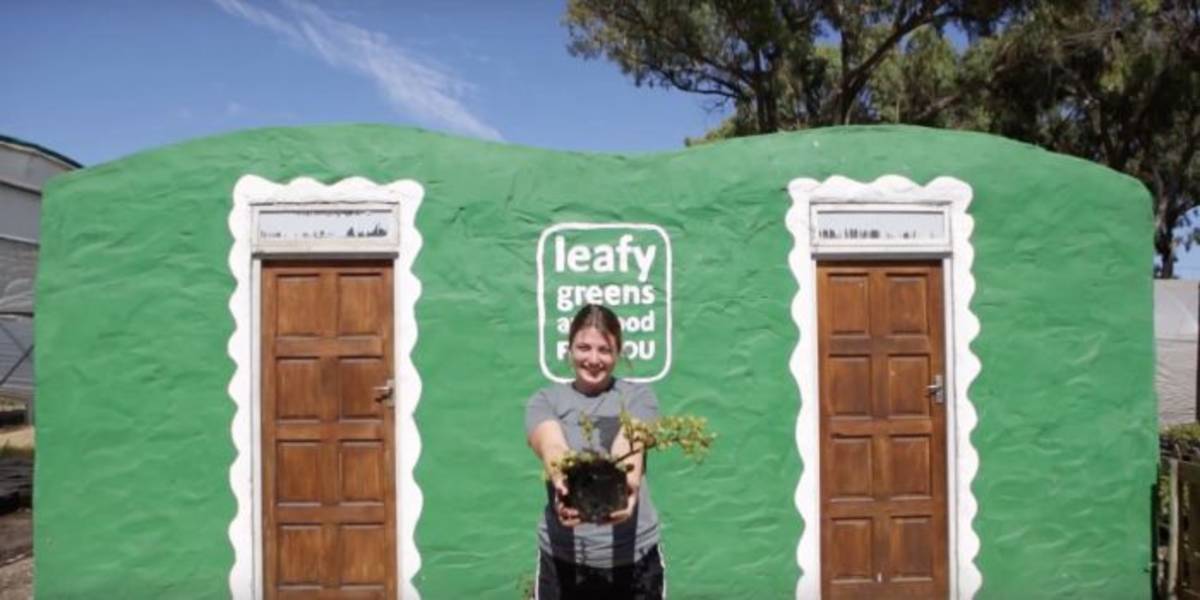 Clean Energy Internship in South Africa