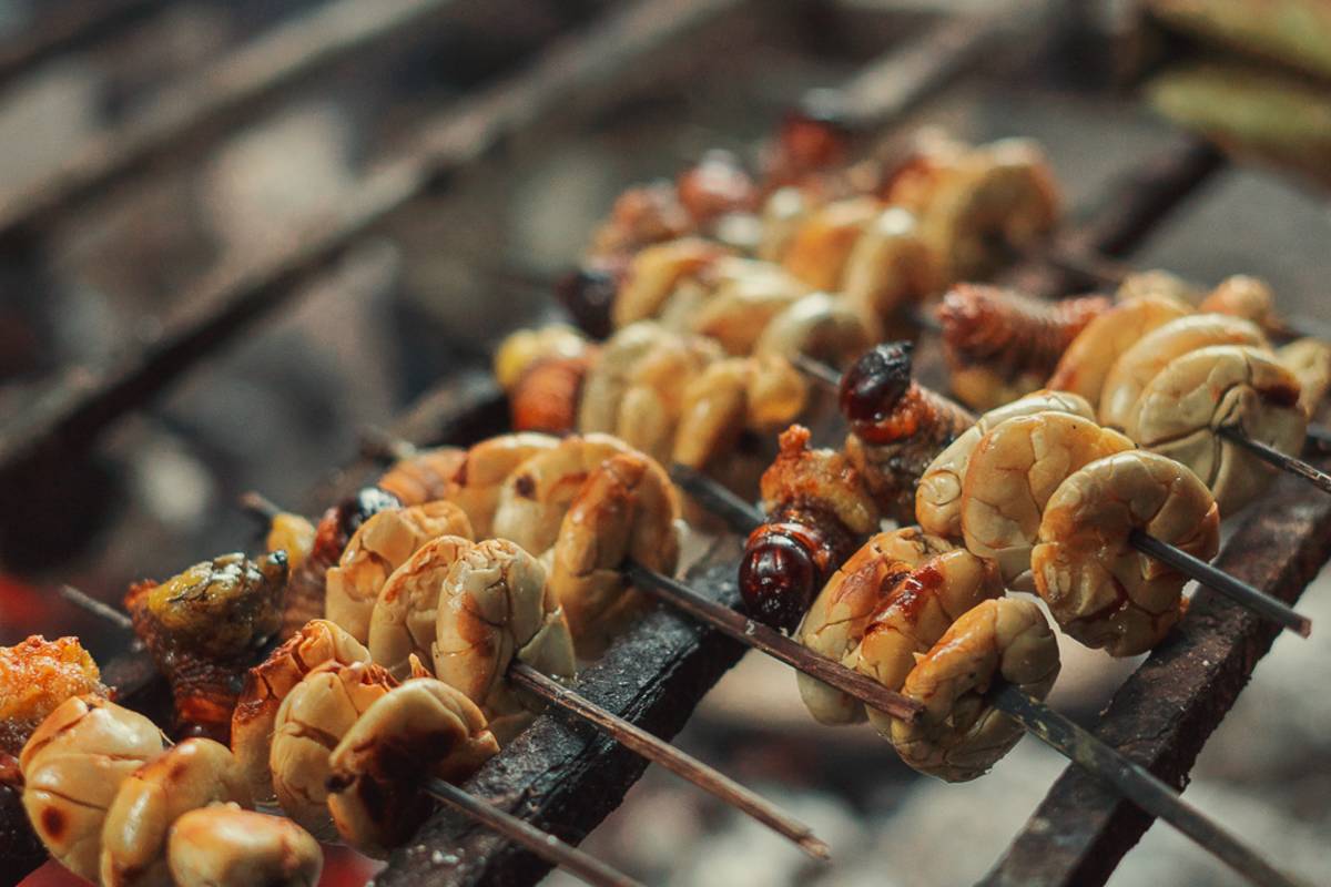 Close up of skewers of nuts and grubs roasting over a grill.