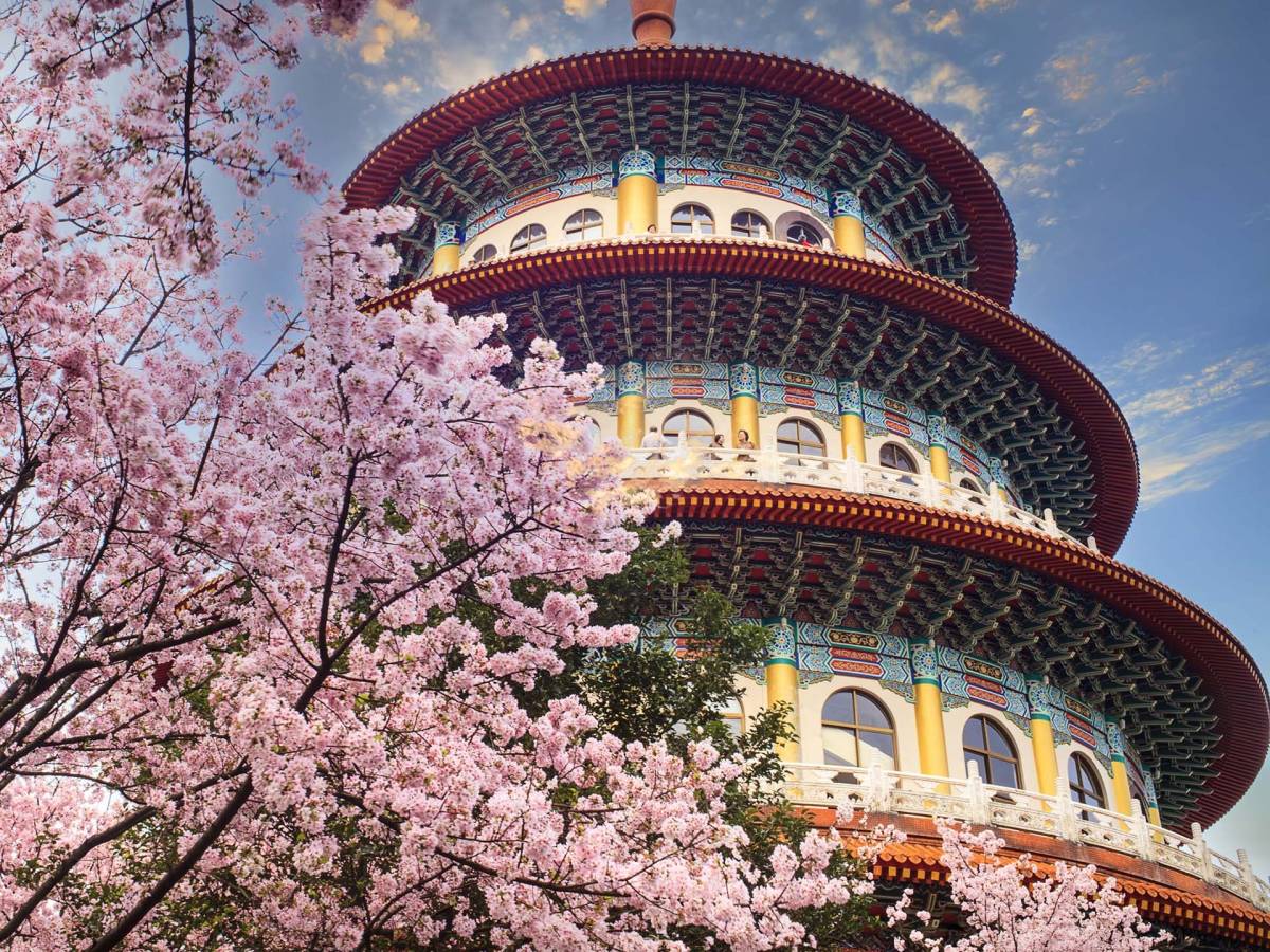 Colorful building and cherry blossoms in Taiwan