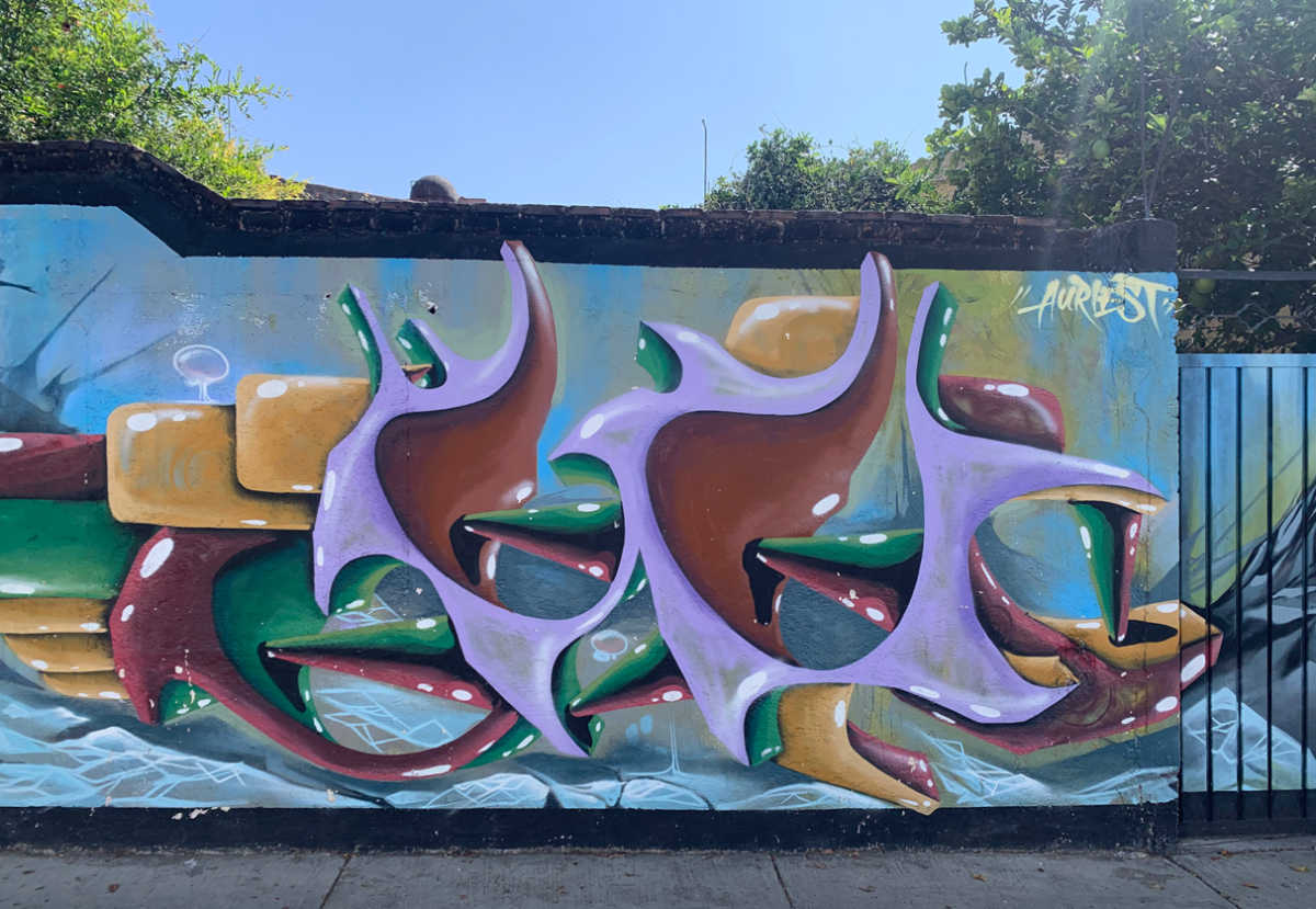 Colorful street art and murals on a wall in Mexico, showcasing vibrant local creativity and culture.