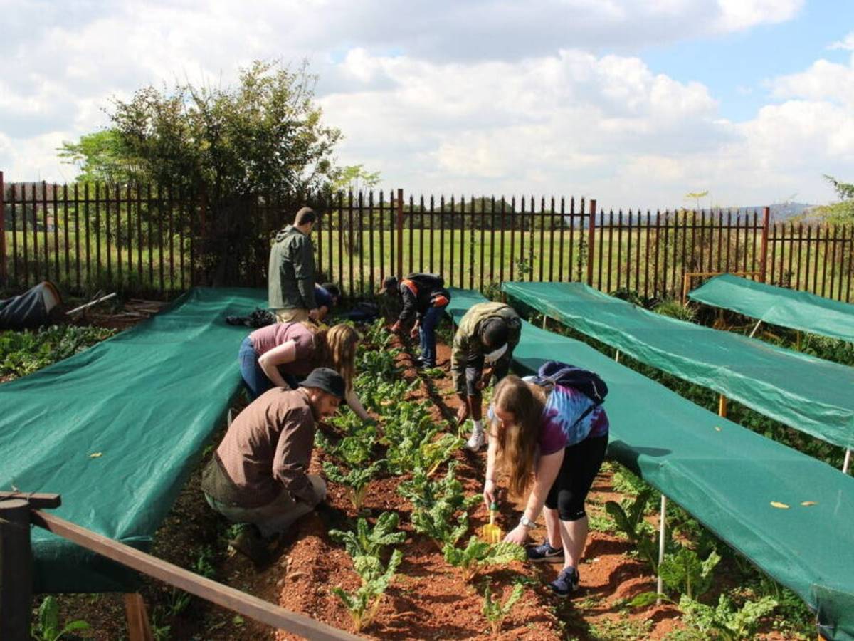 Community Engagement in Cape Town