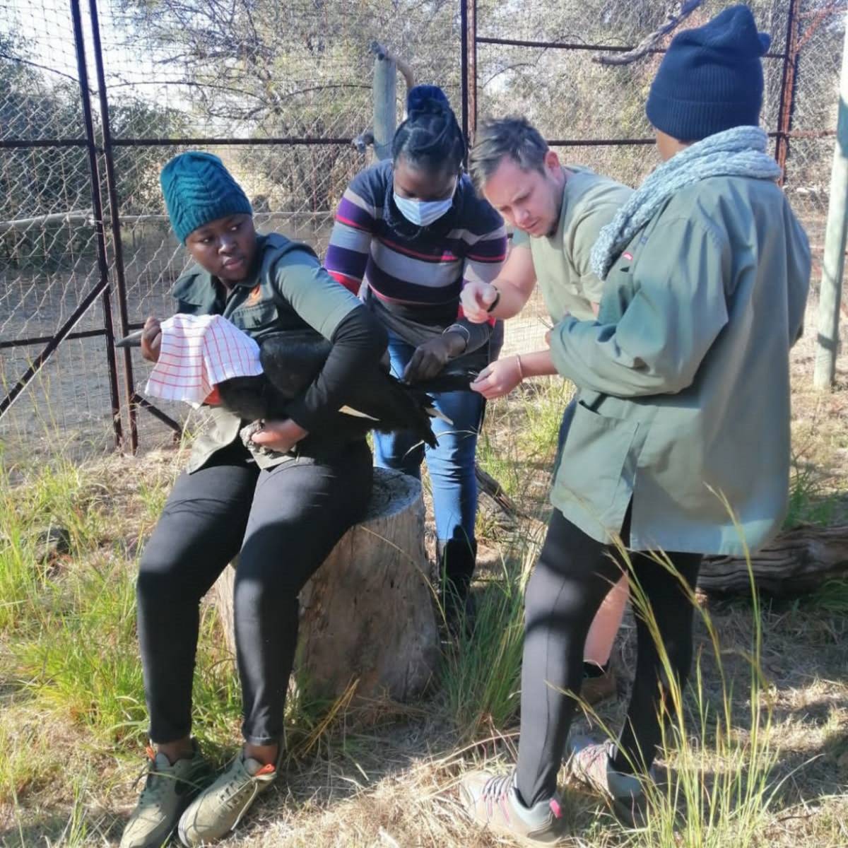 Conservation Education Internship9