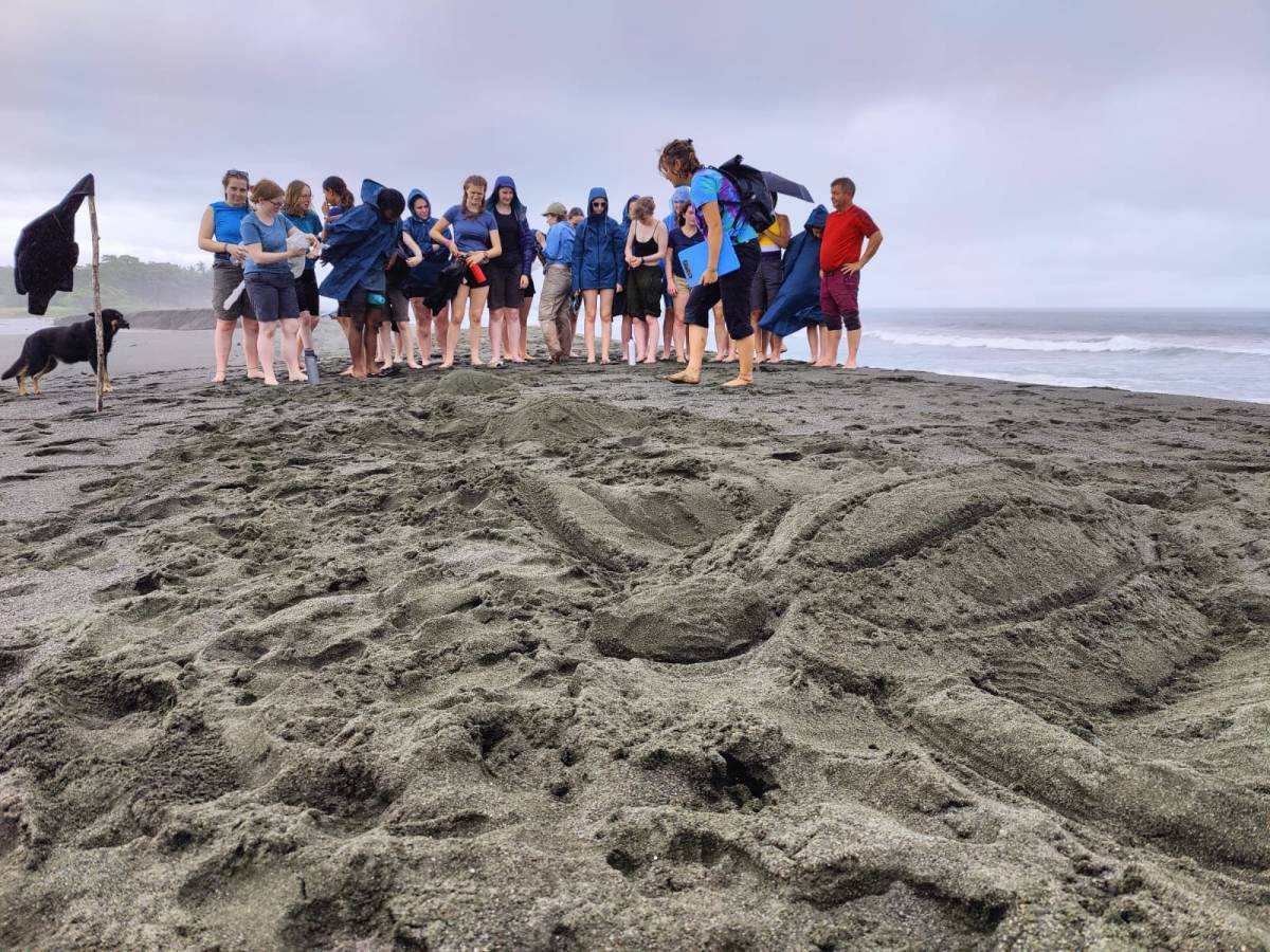 Conservation Marketing Interns in Costa Rica