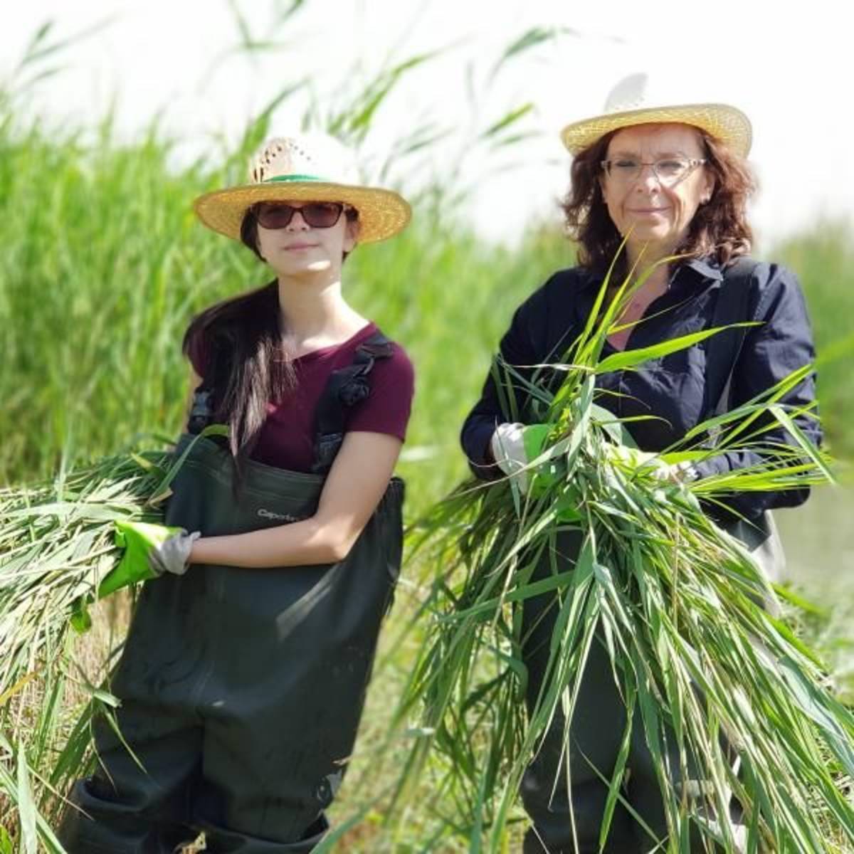 GoEco Spain - Conservation Projects in the Valencia Region
