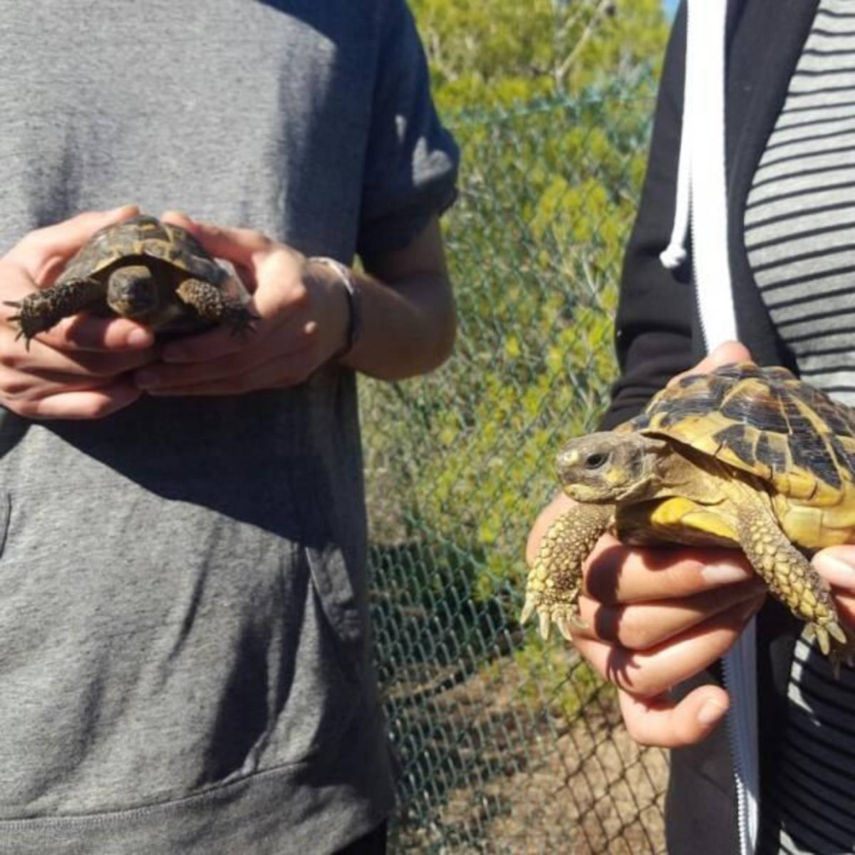 GoEco Spain - Conservation Projects in the Valencia Region