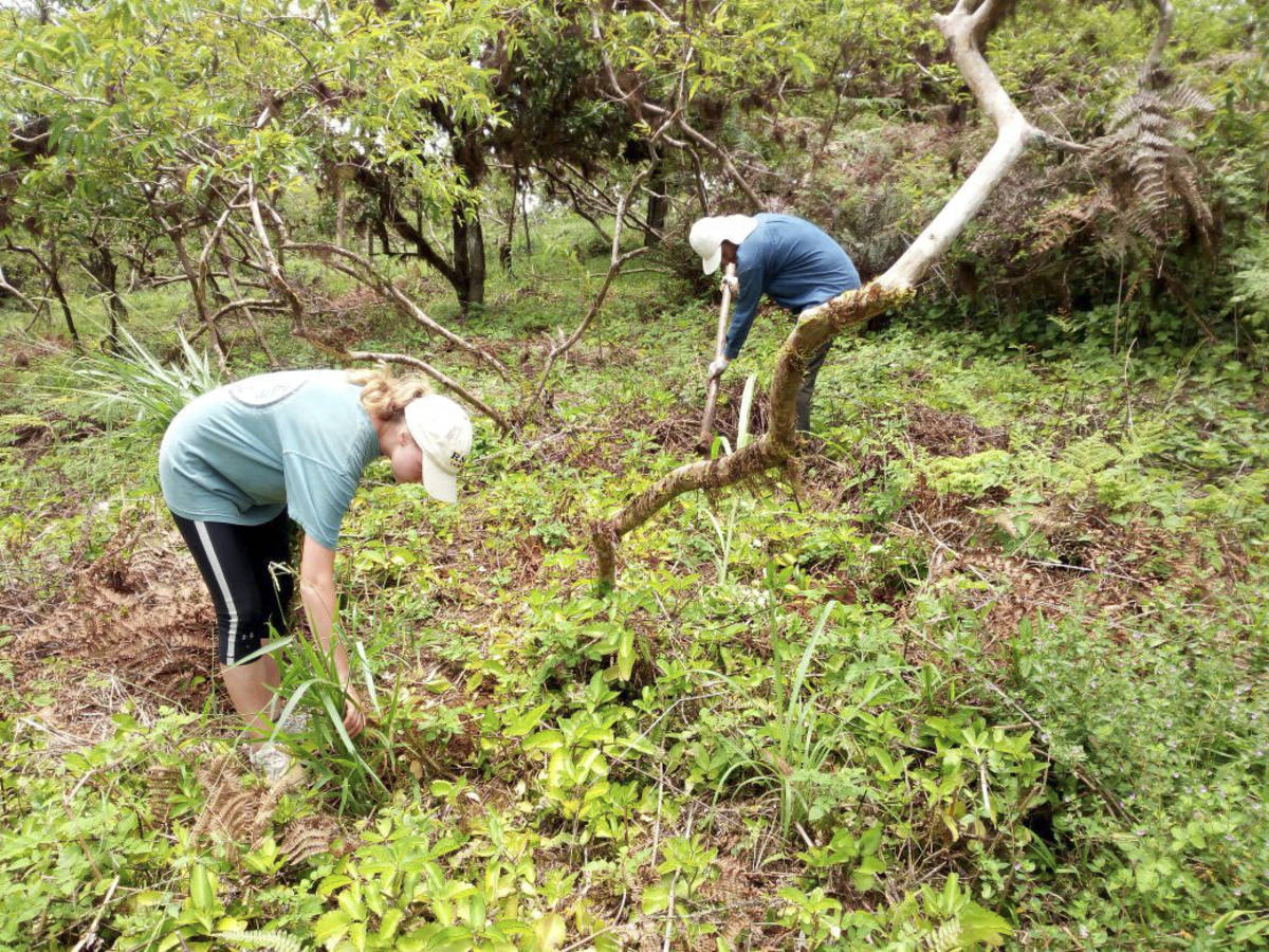 conservation
