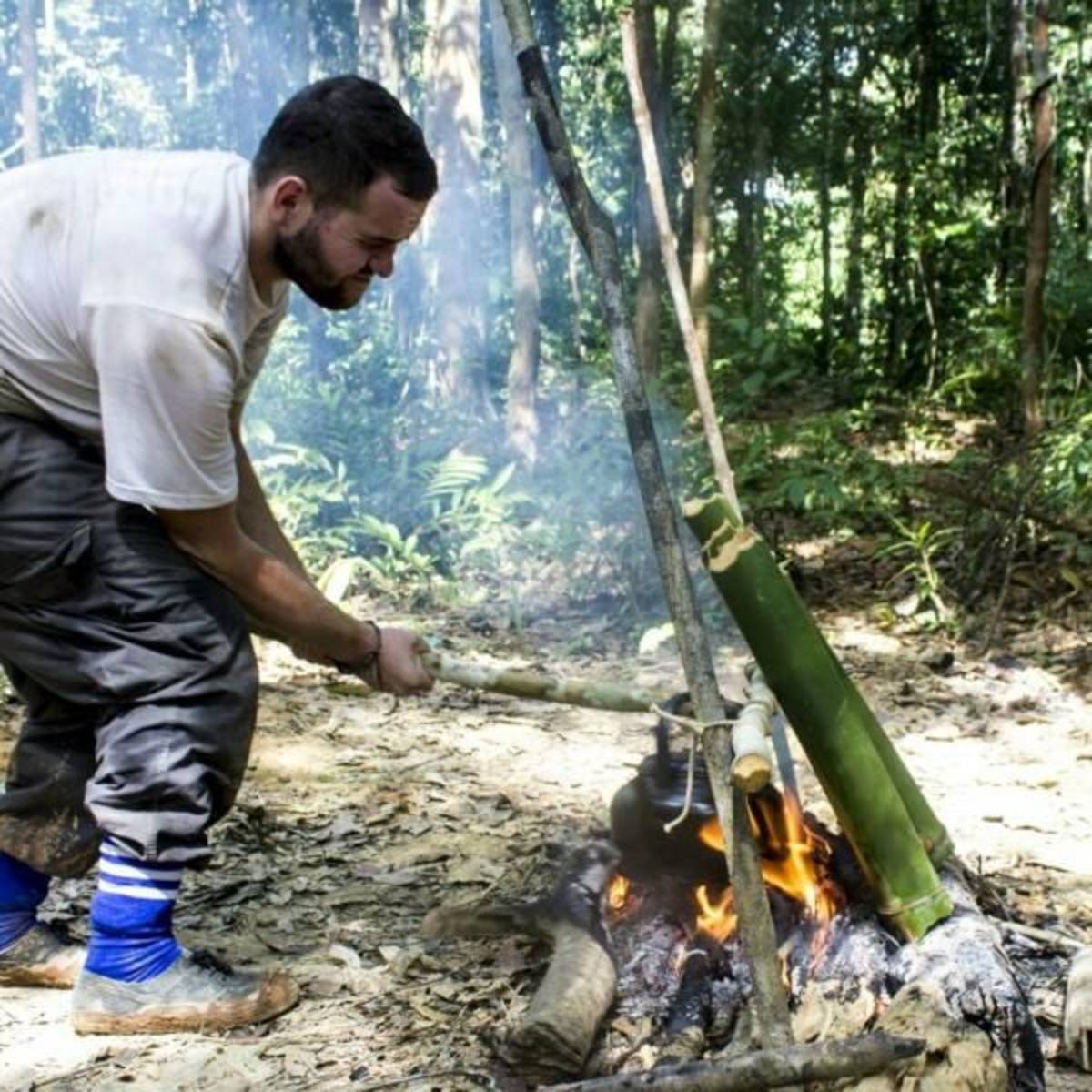 GoEco Malaysia - Jungle Trekking and Sea Turtle Conservation