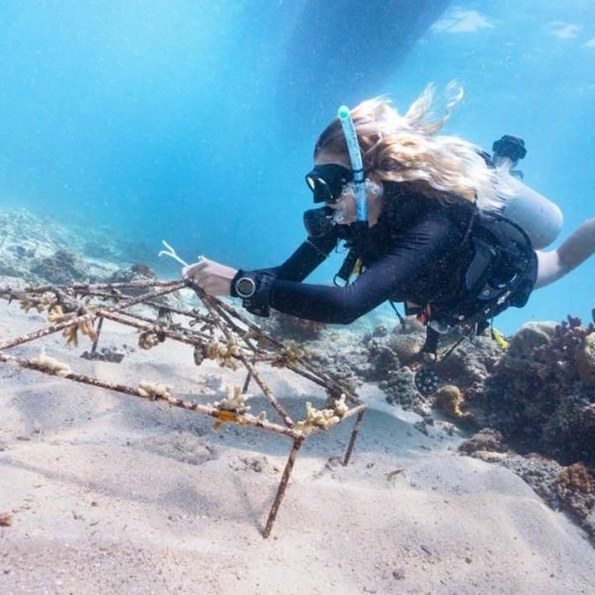 Coral Restoration Project around the Gili Islands in Indonesia