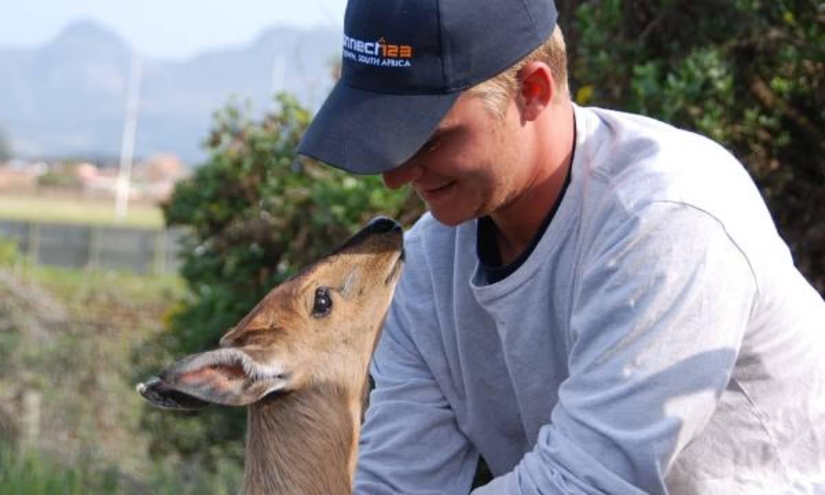 Cape Town Wildlife
