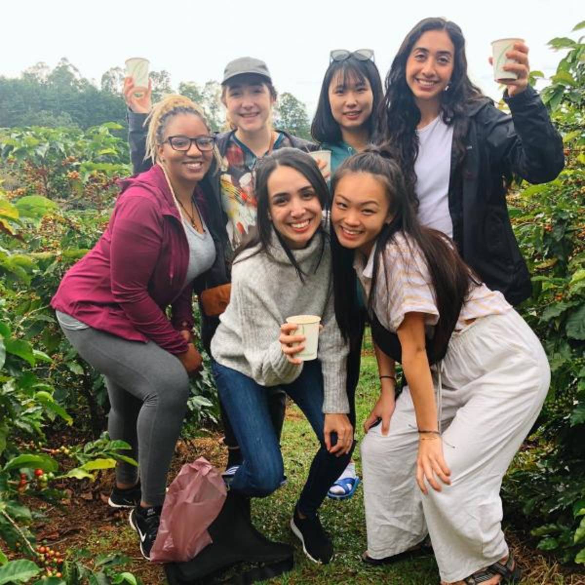 Volunteer in Costa Rica with IVHQ