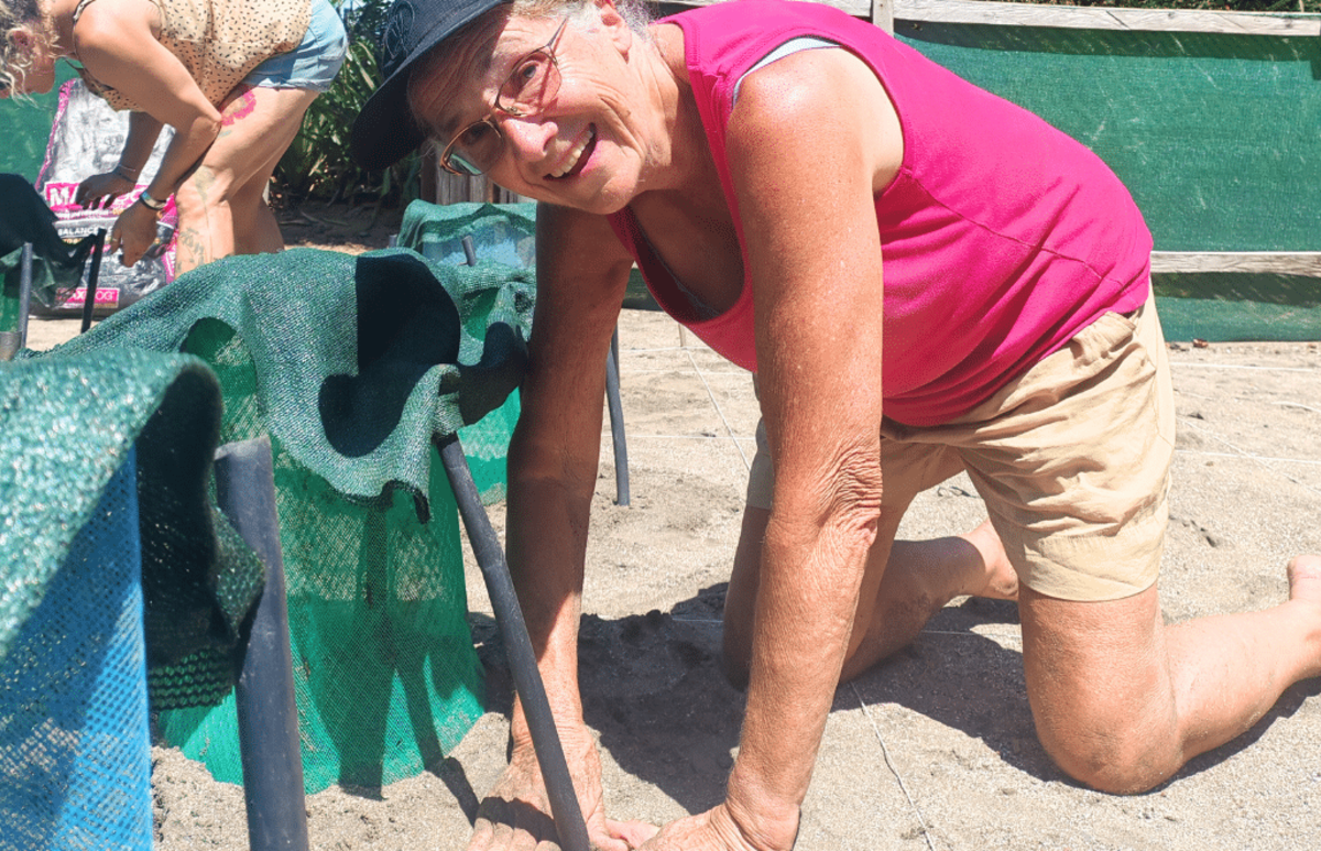 Costa Rica – Family-Friendly Sea Turtle & Nature Conservation