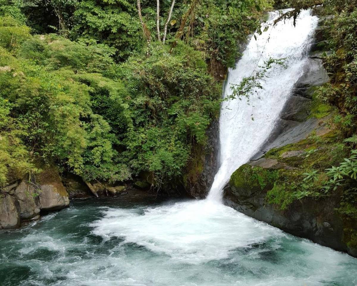 Costa Rica rainforest