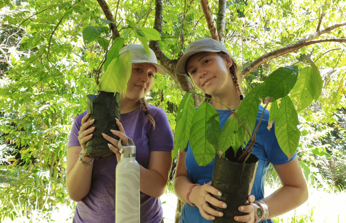 Costa Rica – Sea Turtle Volunteering & Adventure Tour for Teenagers