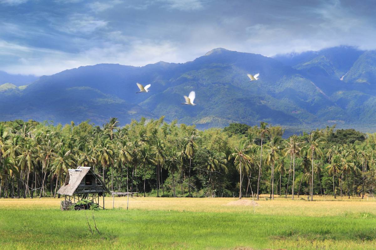 Countryside around base