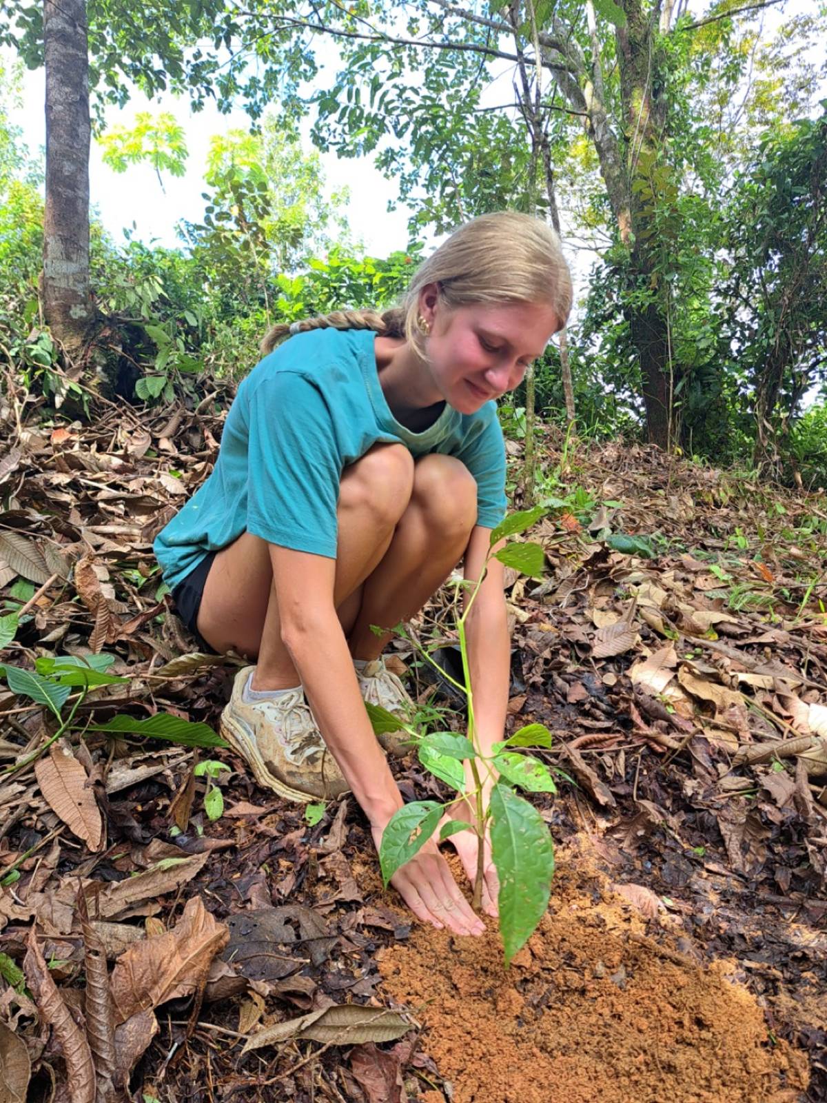 CR Planting Trees