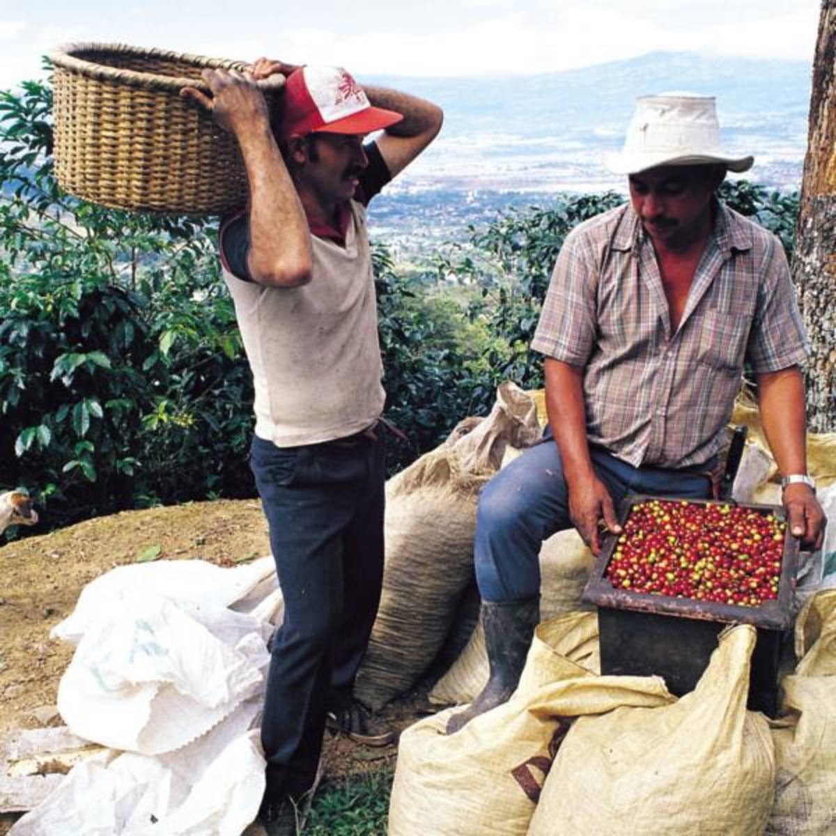 Costa Rican People 
