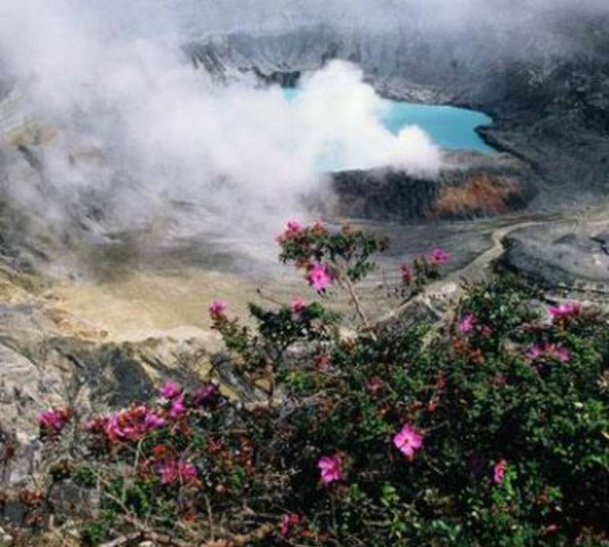 Crater amidst lush greenery.