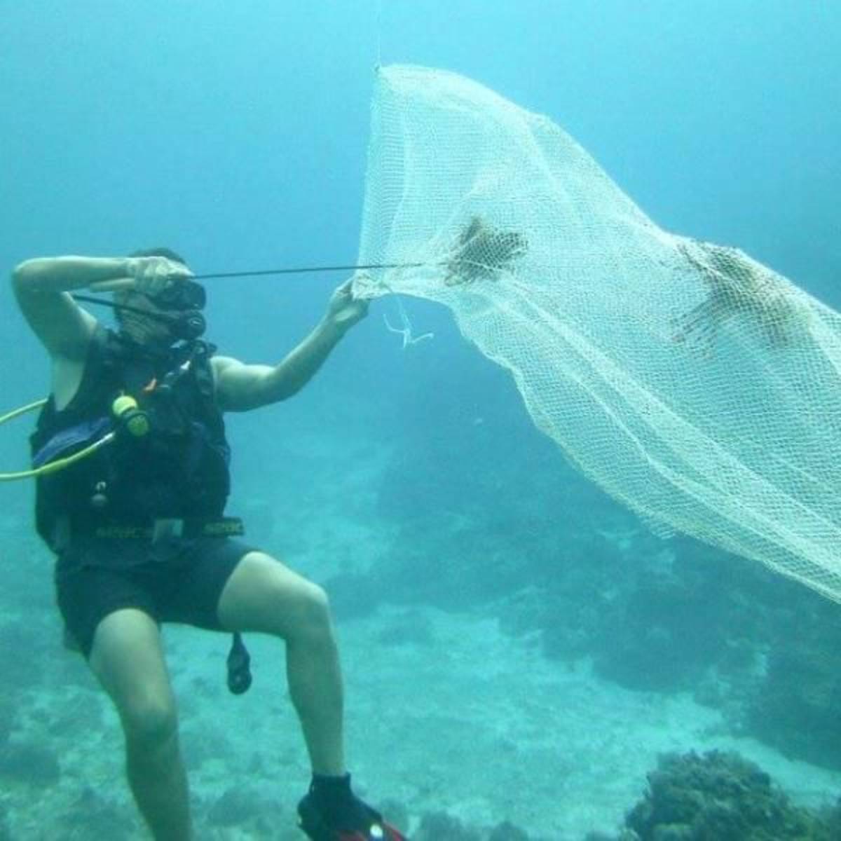 GoEco - Coral Conservation in Cuba