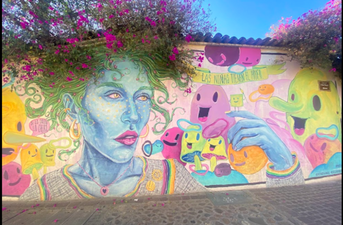 Detailed Mexican street art mural with bold colors and expressive designs on a city wall.