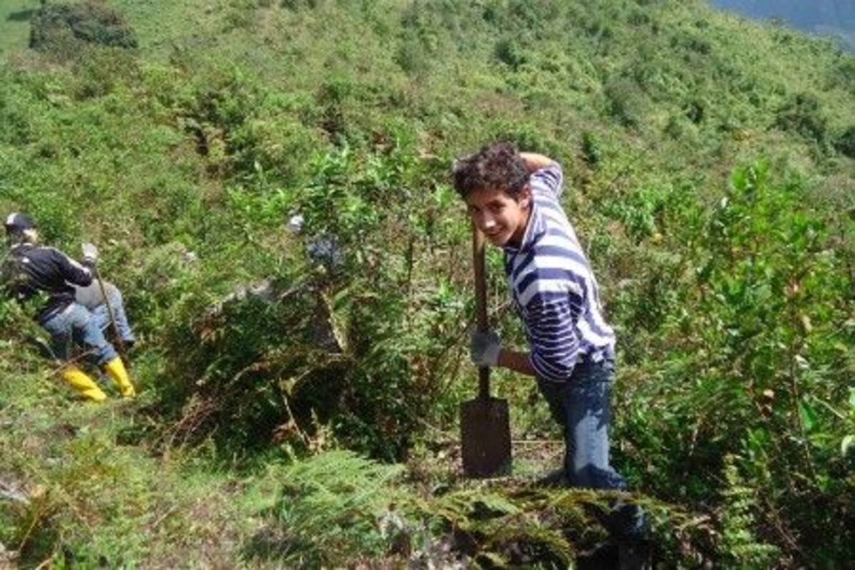 A boy digging the soil
