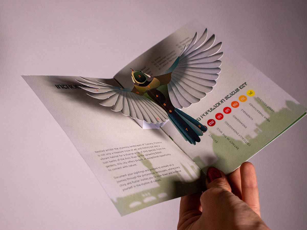 Digital Illustration and Graphic Design