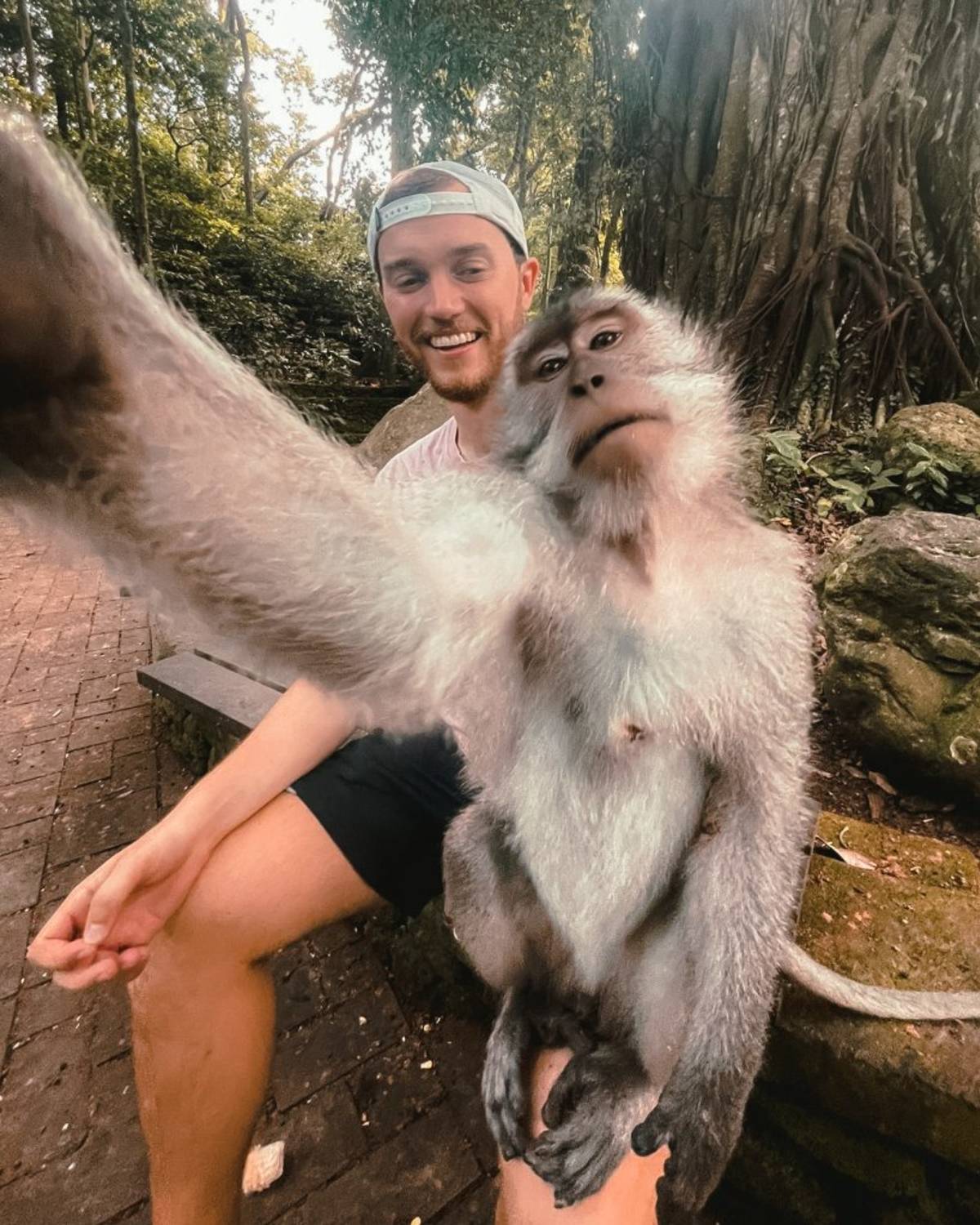 Digital Nomad