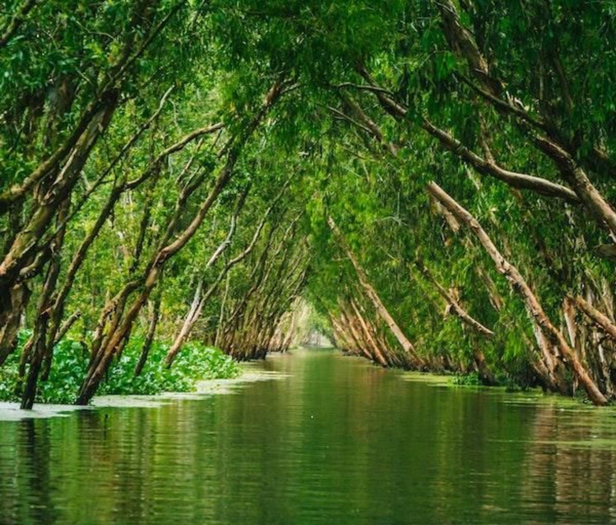 Ecotourism internships