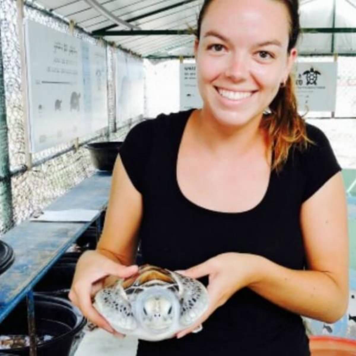 GoEco Maldives - Sea Turtle Conservation