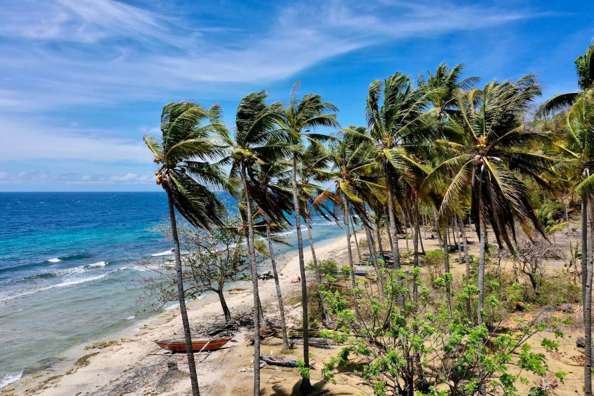 Divesite at marine protected area